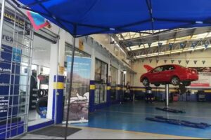 TIREX MICHELIN Américas