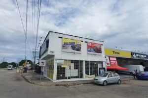 TIREX MICHELIN Díaz Mirón