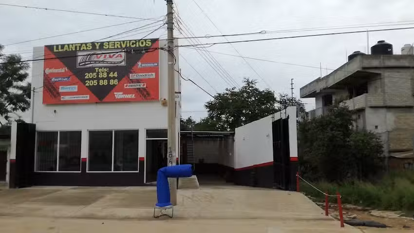 VIVA LLANTAS