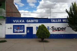 VULCA GABITO