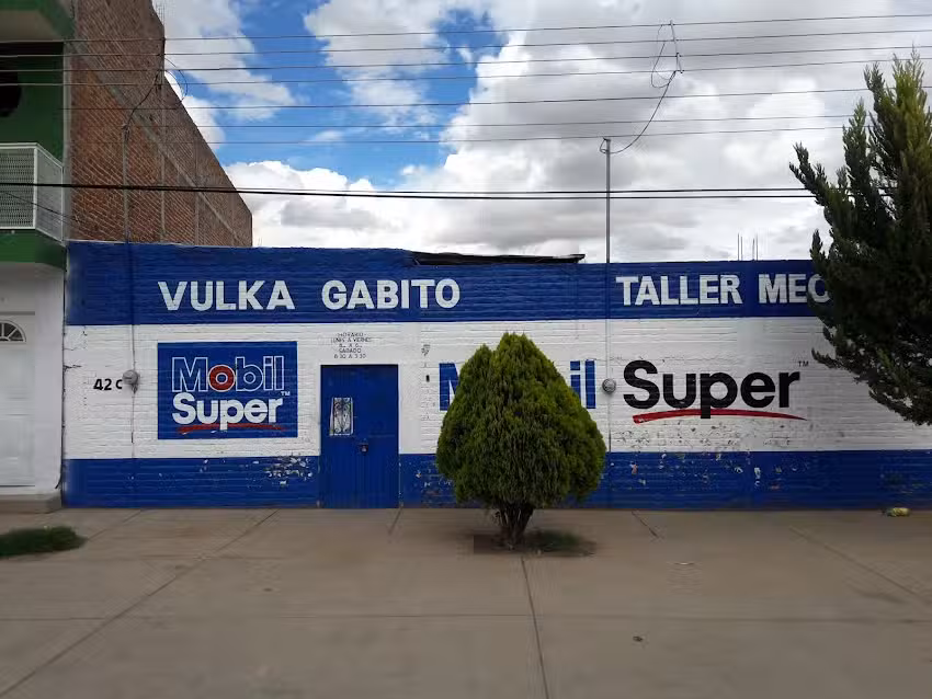 VULCA GABITO
