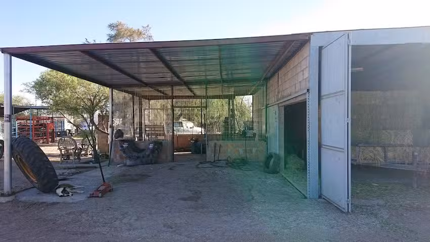 Vulcanizadora CAS (llantera)